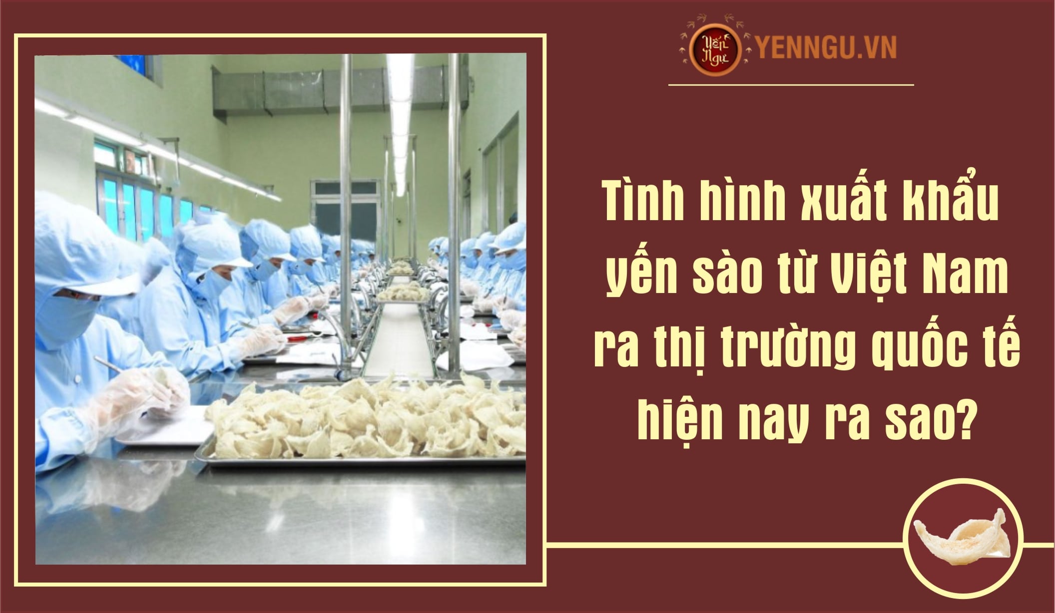 Tình hình xuất khẩu yến sào từ Việt Nam ra thị trường quốc tế hiện nay ra sao?