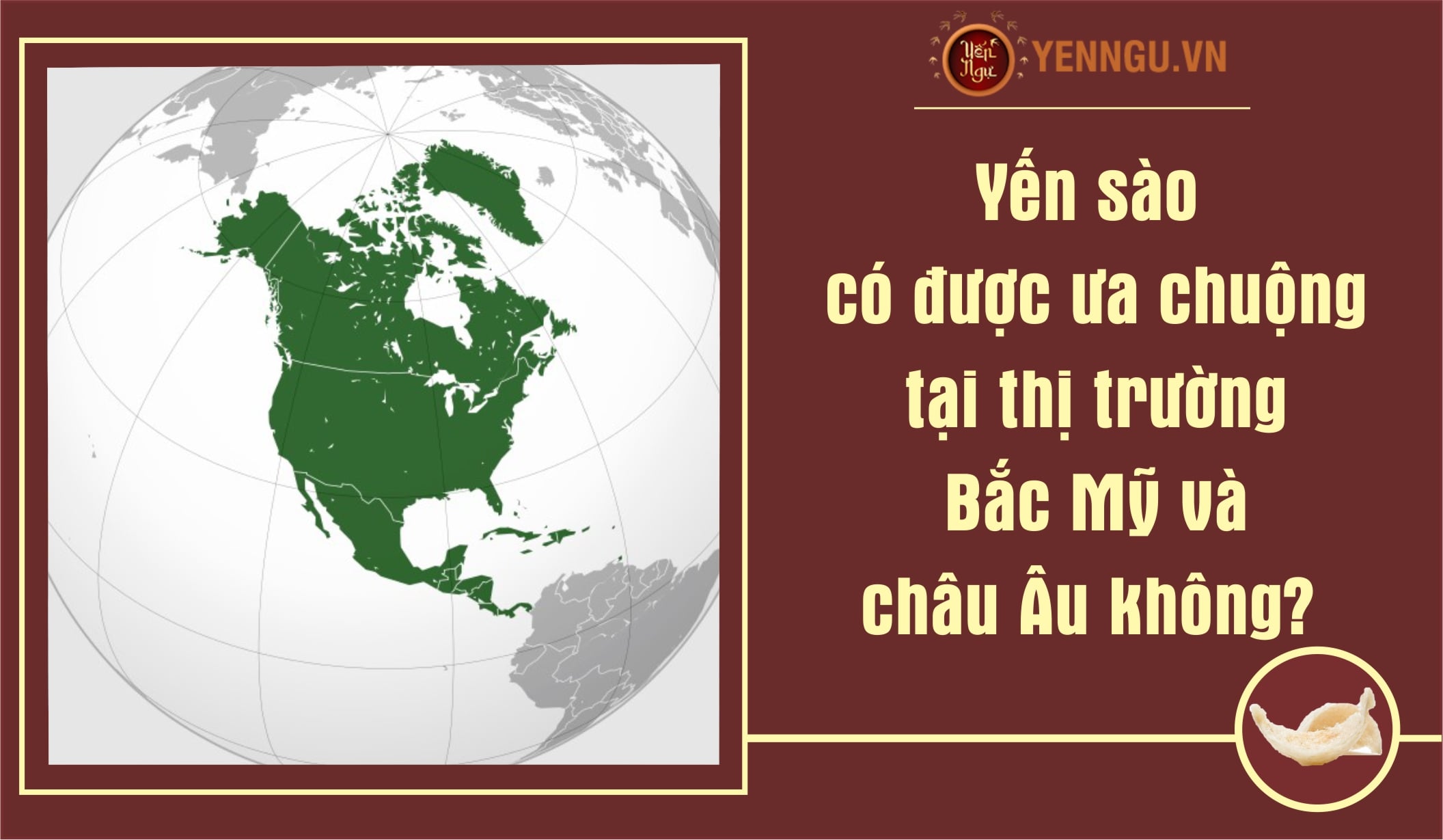Yến sào có được ưa chuộng tại thị trường Bắc Mỹ và châu Âu không?