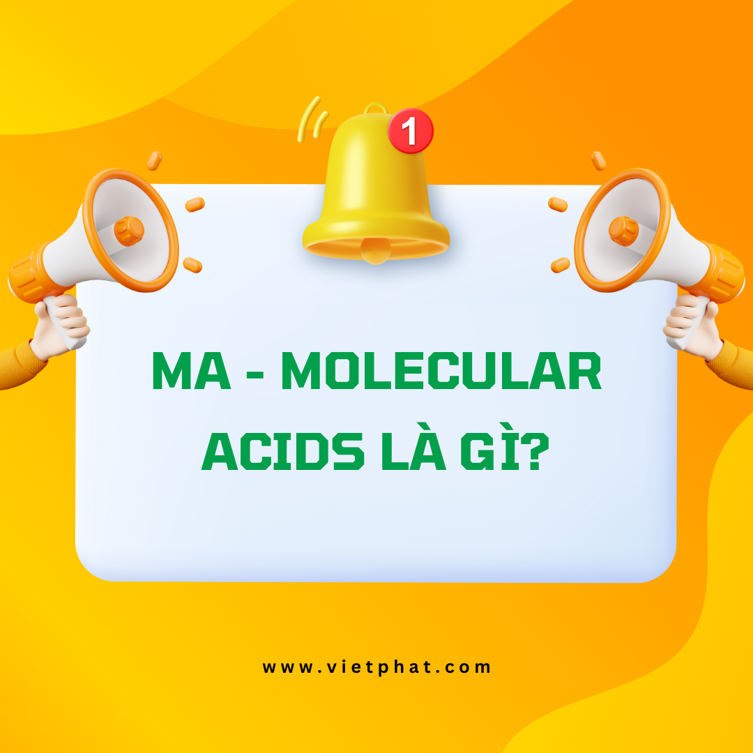 MA - Molecular Acids là gì?