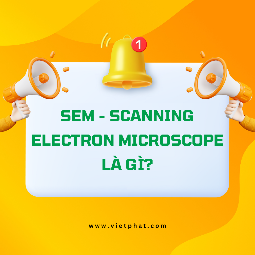 SEM - Scanning Electron Microscope là gì?