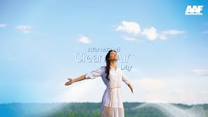 AAF Clean Air