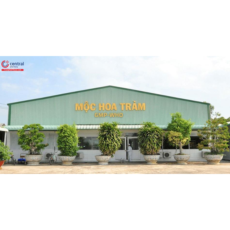 Chi nhánh Công ty TNHH dược phẩm dược liệu Mộc Hoa Tràm