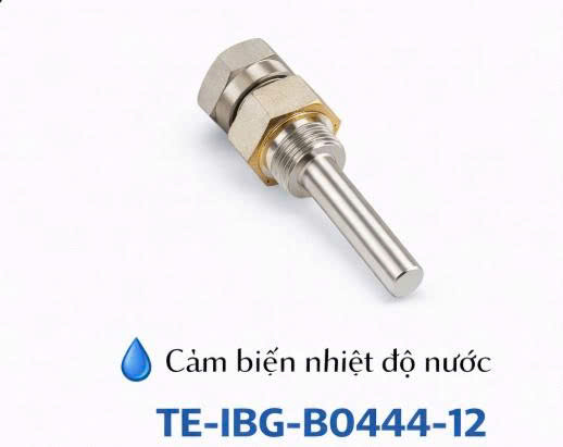 Cảm biến nhiệt độ nước TE-IBG-B0444-12