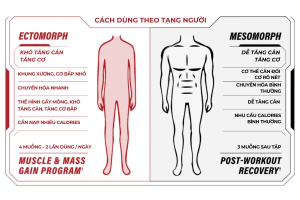 cach-dung-mass-fusion-12-lbs