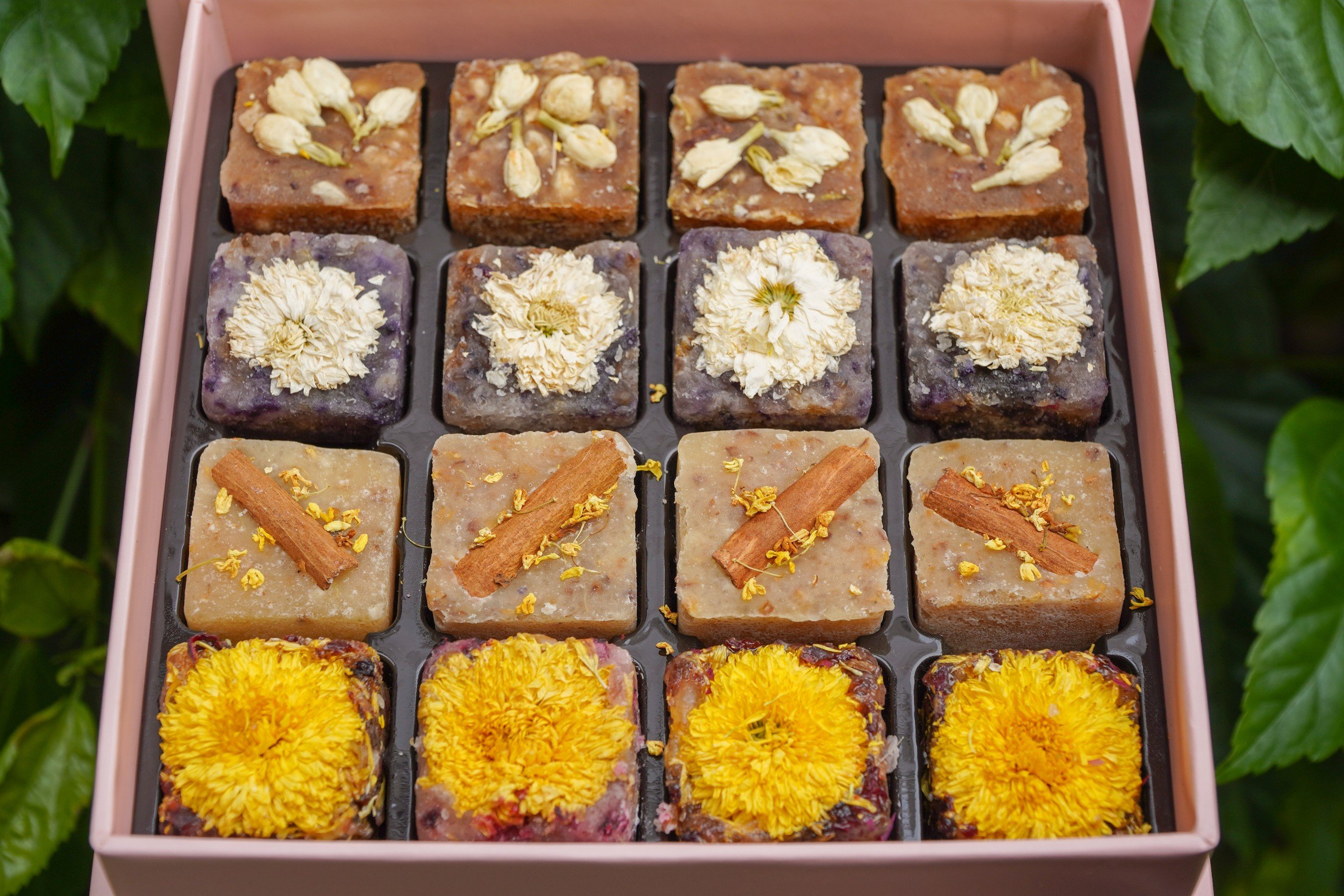 NGUYÊN LIỆU LỚP TRÀ VIÊN THẢO MỘC VÀ HOA QUẢ SẤY