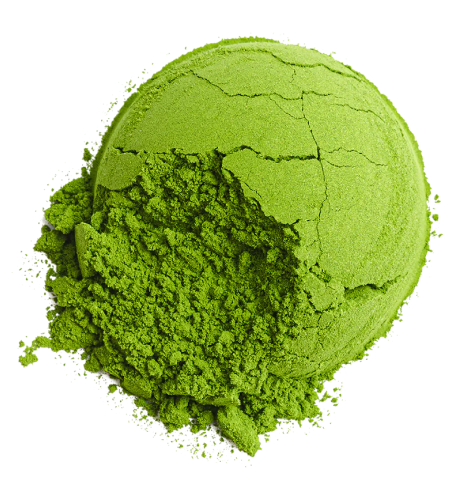 Bột Matcha