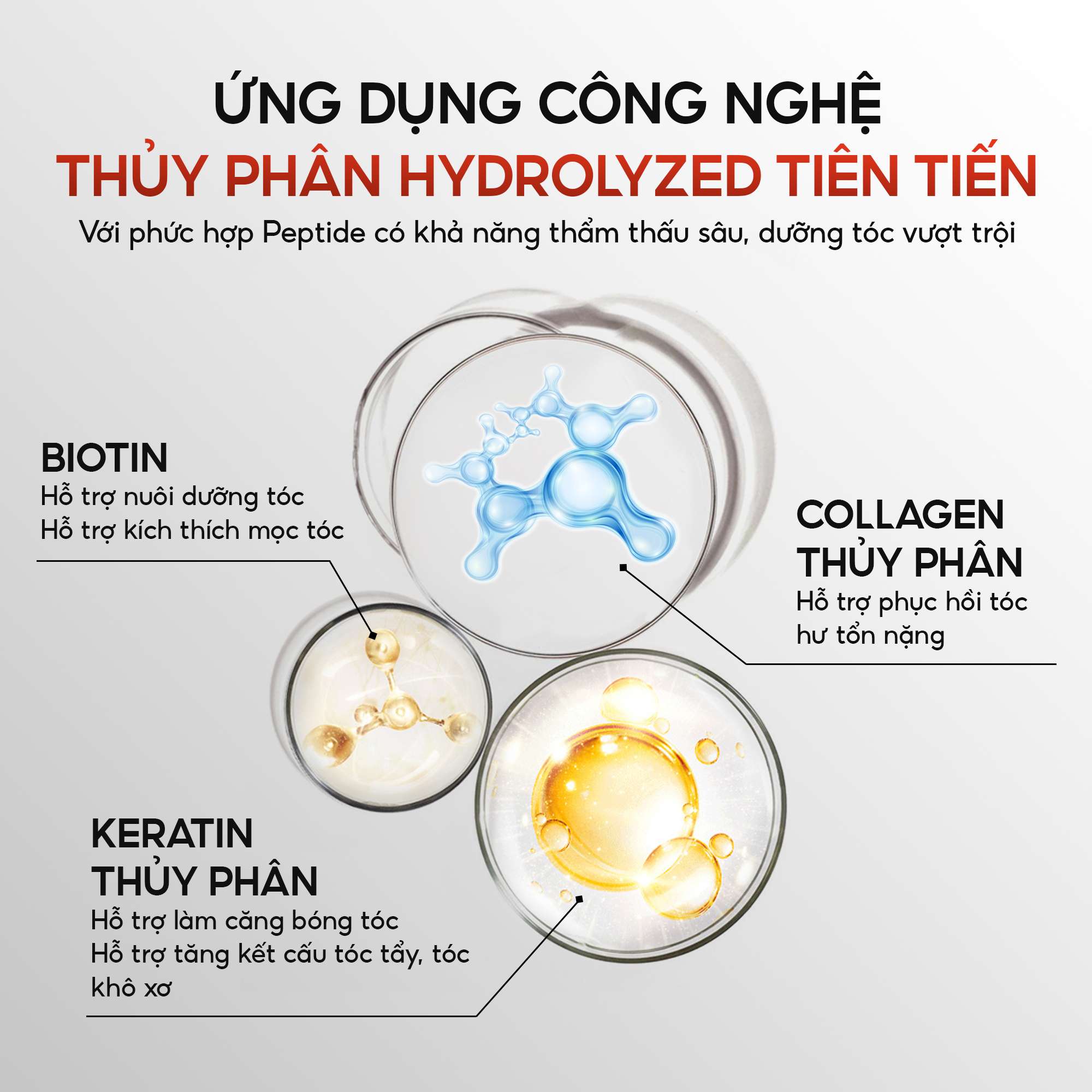 CINPLUS | Dầu Dưỡng Collagen & Keratin Hair Moroccan Oil | SICILY 1504