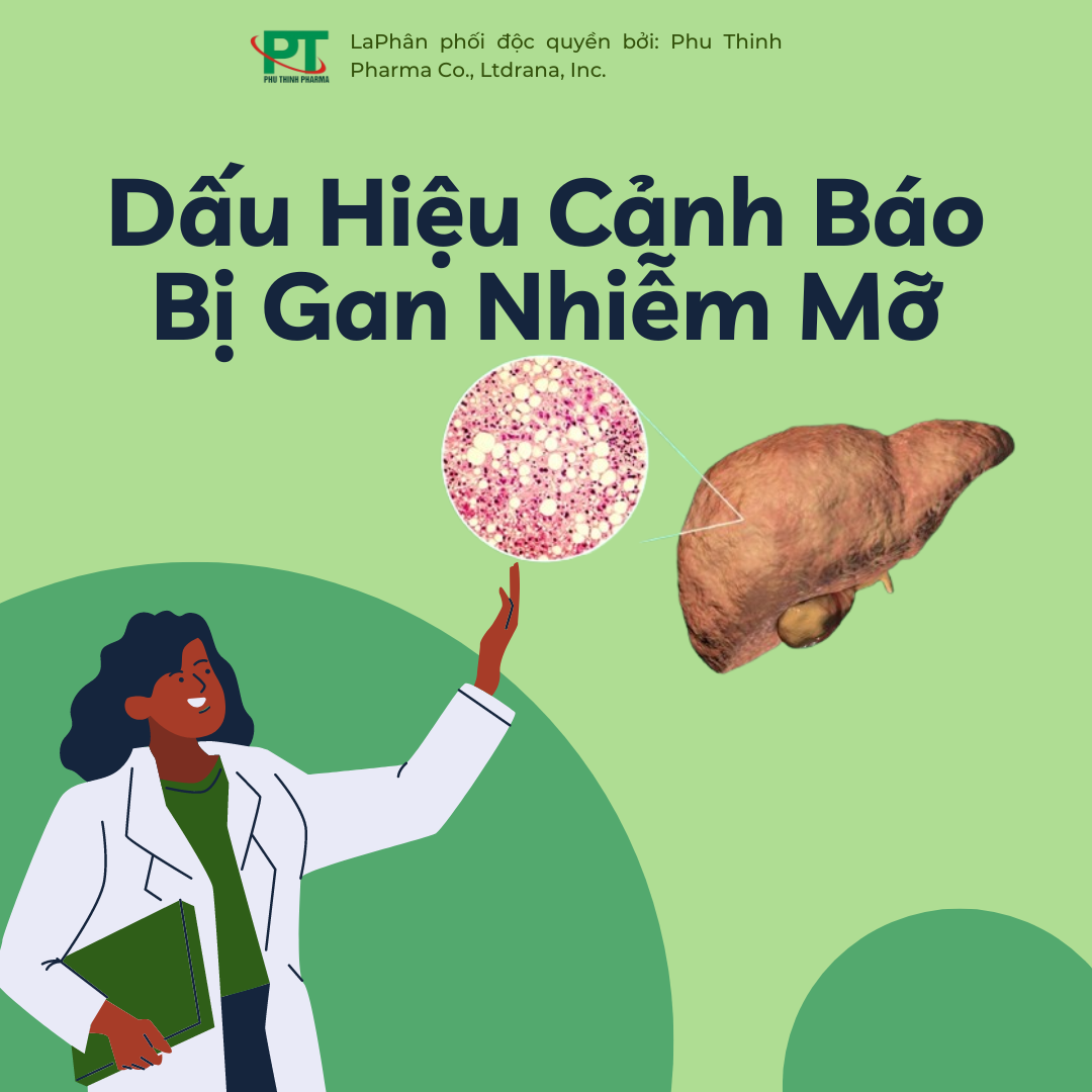 Gan Nhiễm Mỡ Là Gì? Bảy Dấu Hiệu Cảnh Báo Bị Gan Nhiễm Mỡ