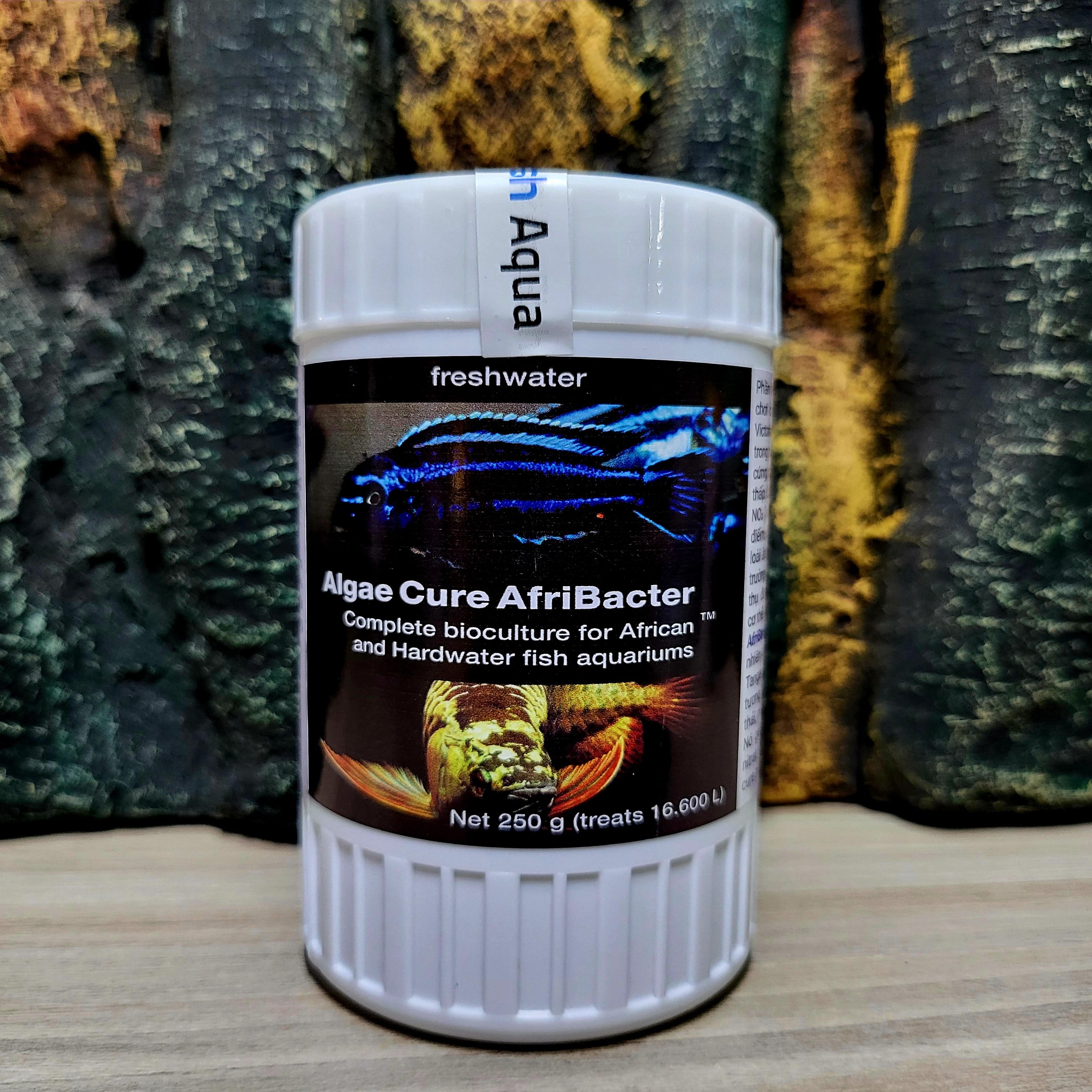 Algae cure - AfriBacter - Vi sinh bể Cichlid châu Phi & pH/GH cao