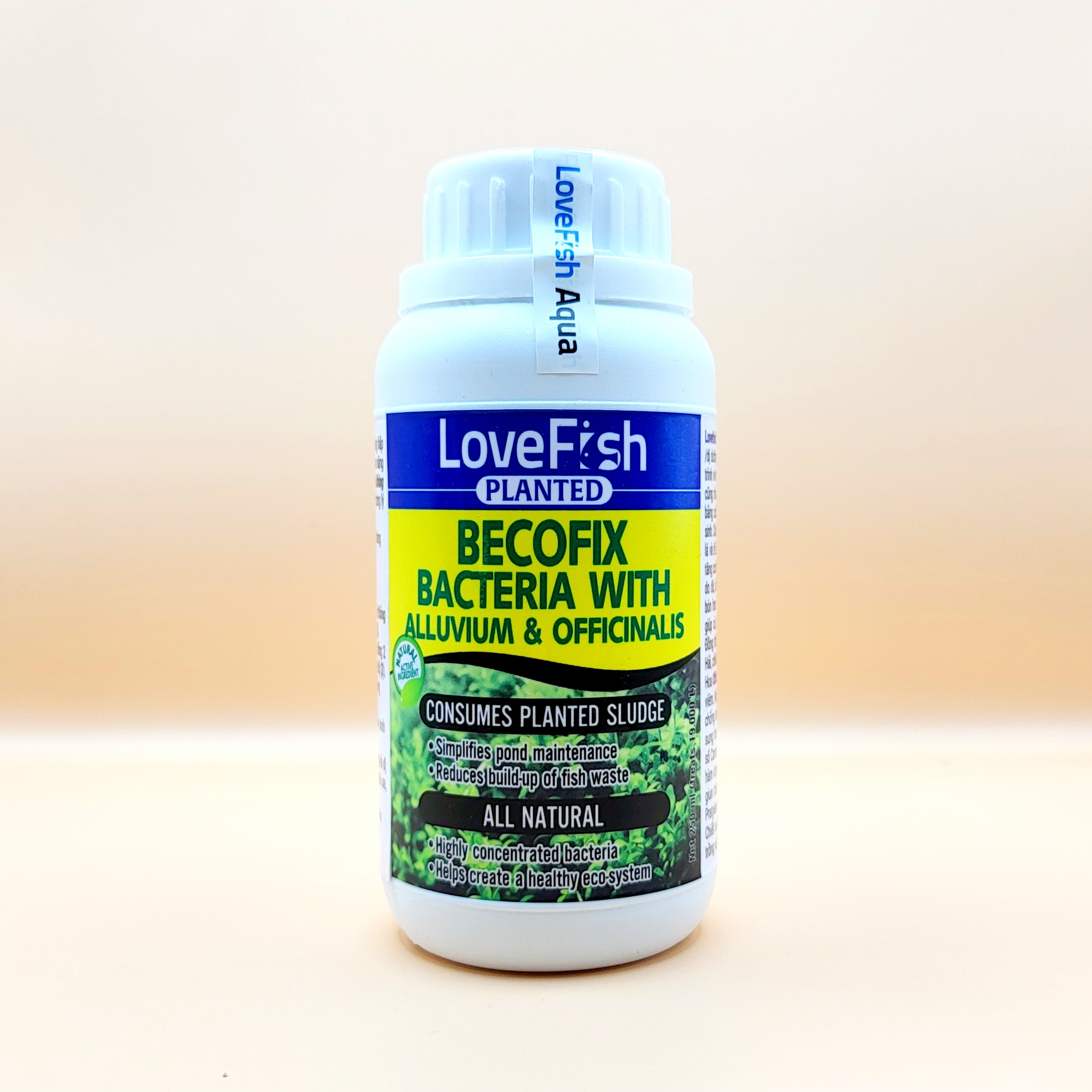LoveFish - Becofix - Vi sinh bể Thủy sinh