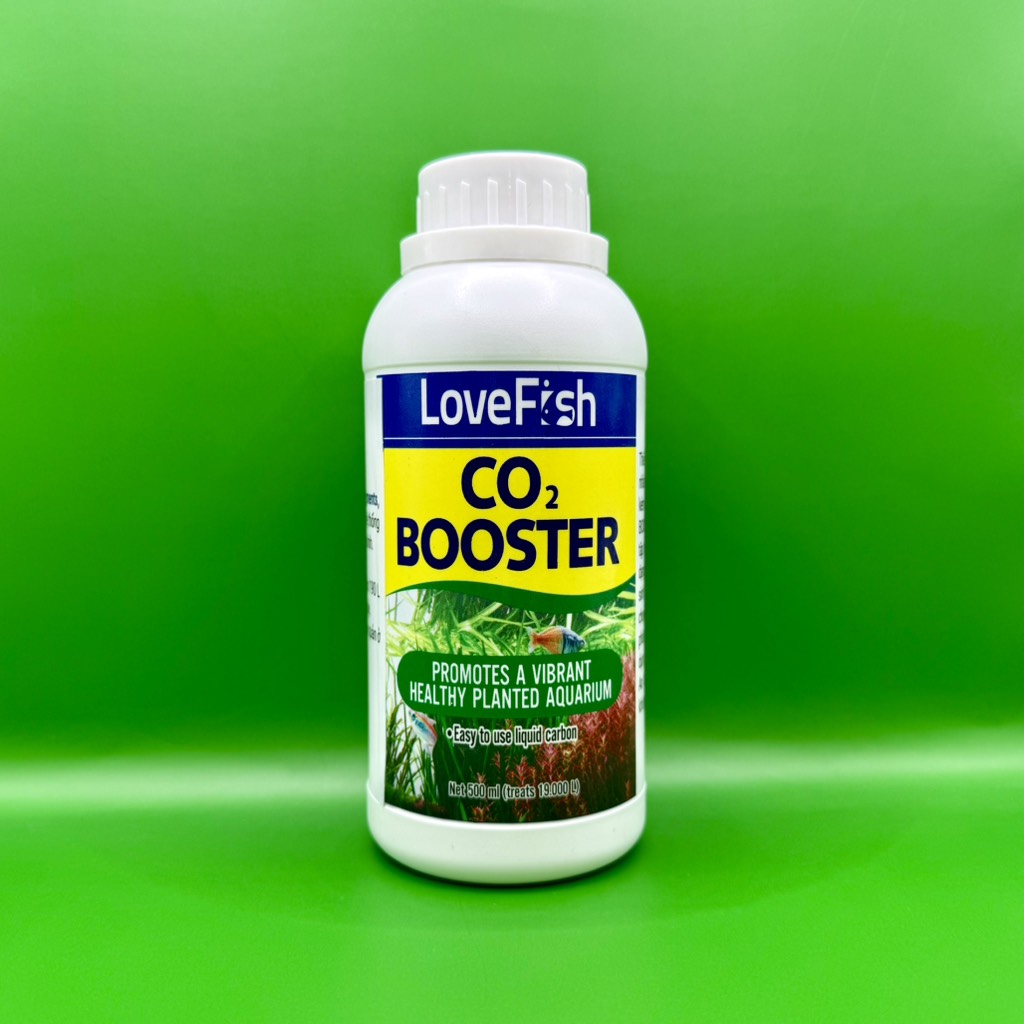 LoveFish - CO2 ooster - CO2 và carbon quang hợp cho bể thủy sinh