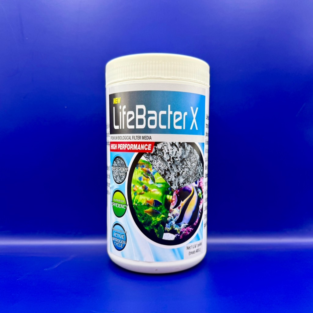 Lifebacter X - Vật liệu lọc sinh học hiệu suất tổng của Lifebacter L+S