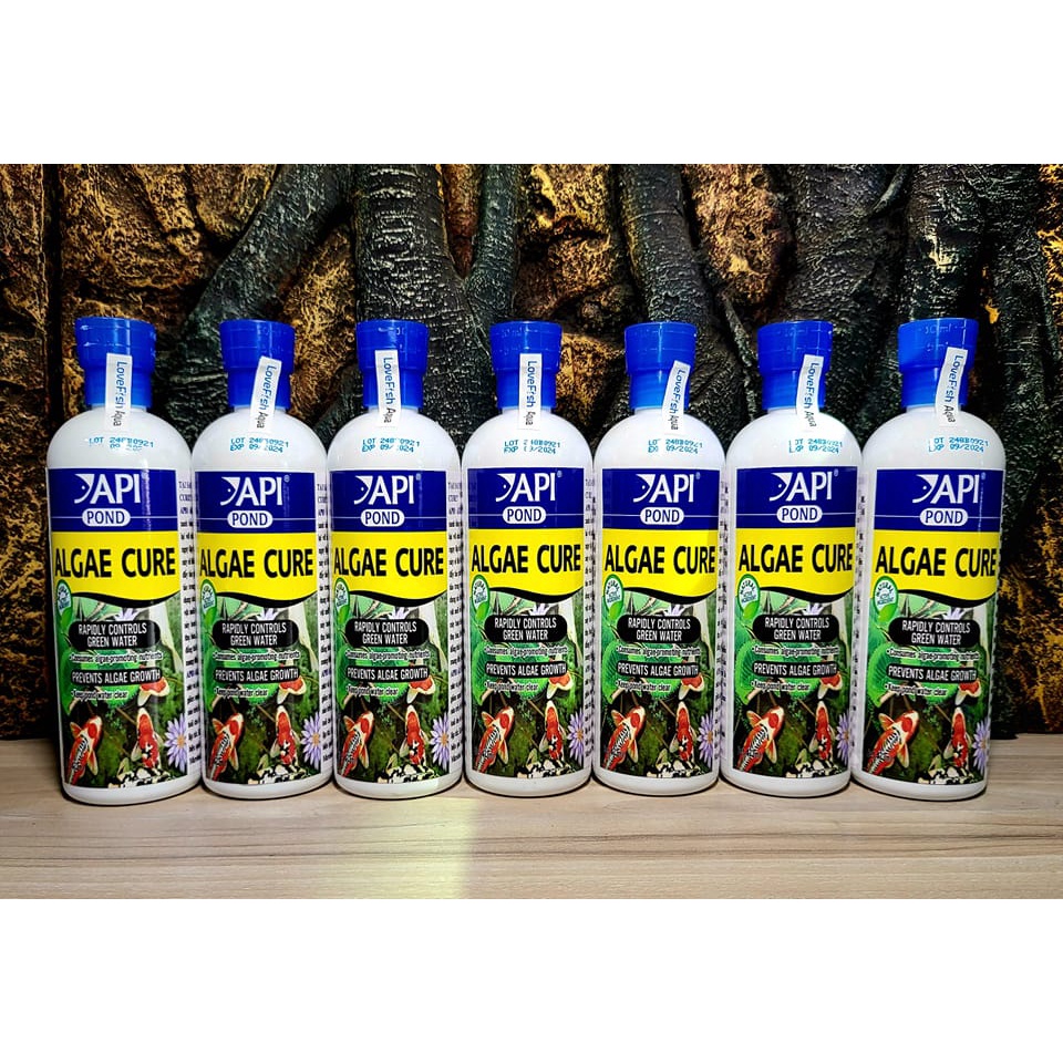 API - Algae Cure - Vi sinh ăn tảo Sống và kết tụ mây siêu trong, tiêu hao NO3 & PO4 nước Ngọt & Mặn