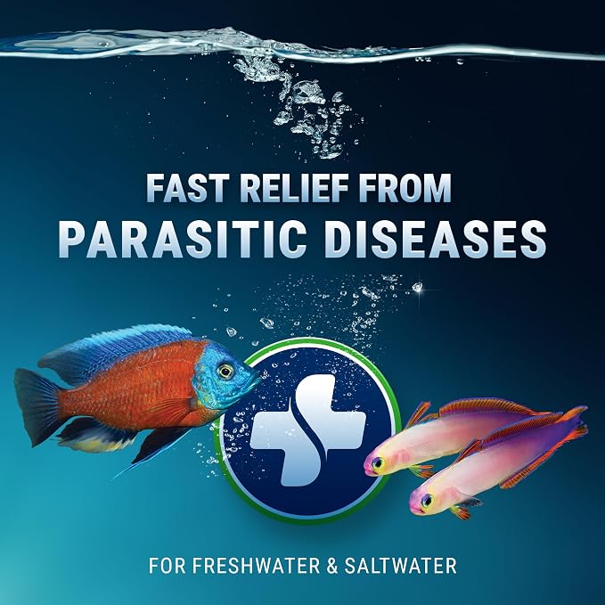 Lovefish - Metrocleanse - trị bệnh ick, velet, lỗ đầu/đường bên, ký sinh trùng