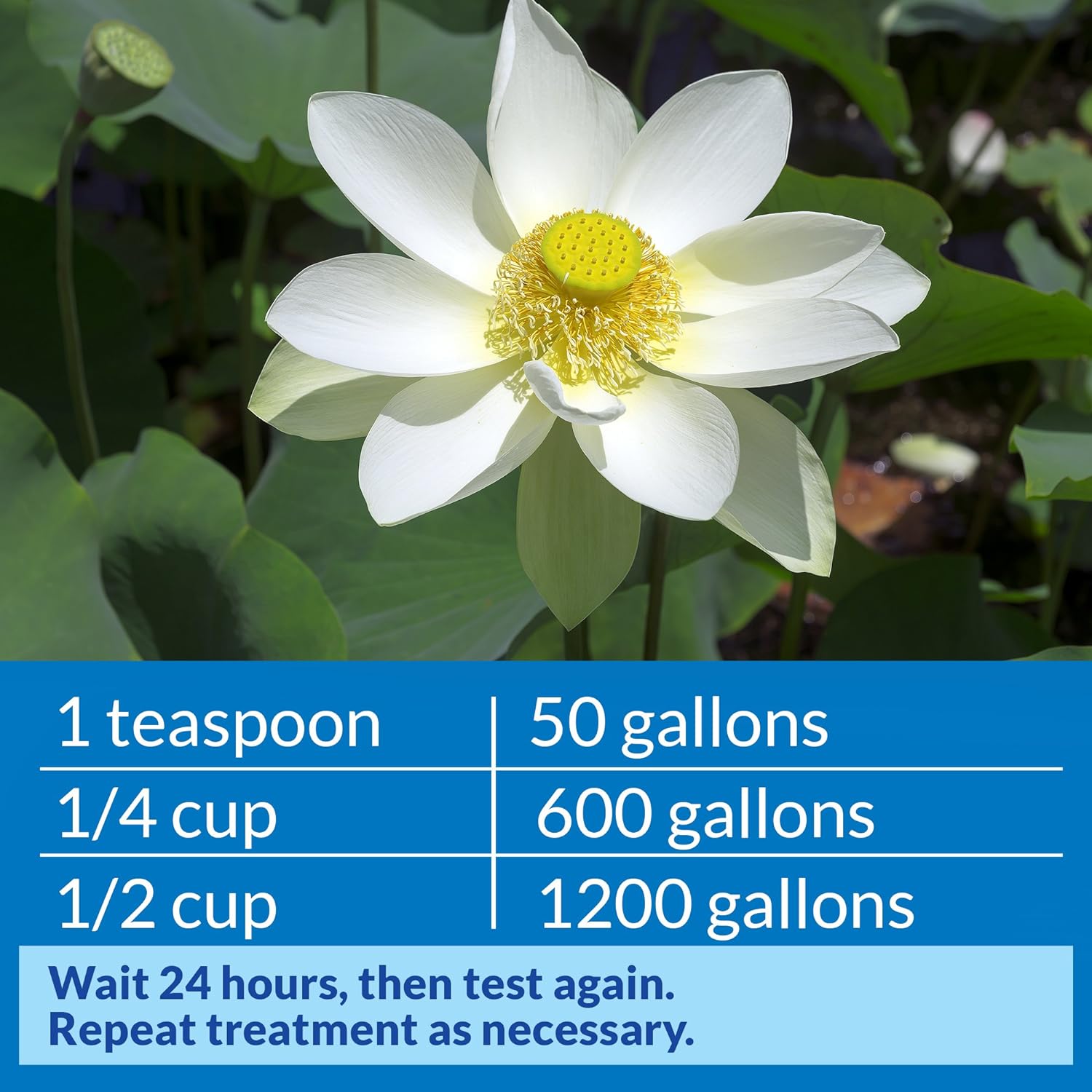 API  - pH Down Pond - Giảm pH cho bể/ao thủy sinh
