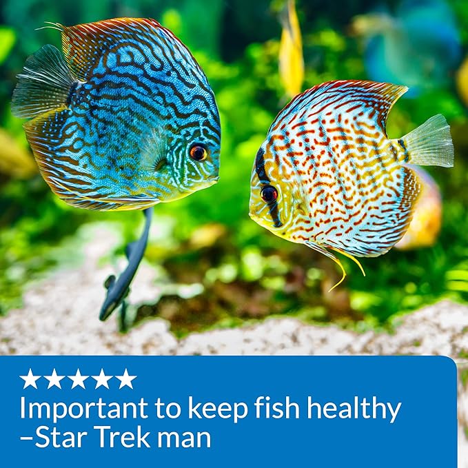 LoveFish - pH Up - Tăng pH và KH cho bể cá nước ngọt