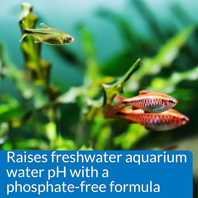 LoveFish - pH Up - Tăng pH và KH cho bể cá nước ngọt