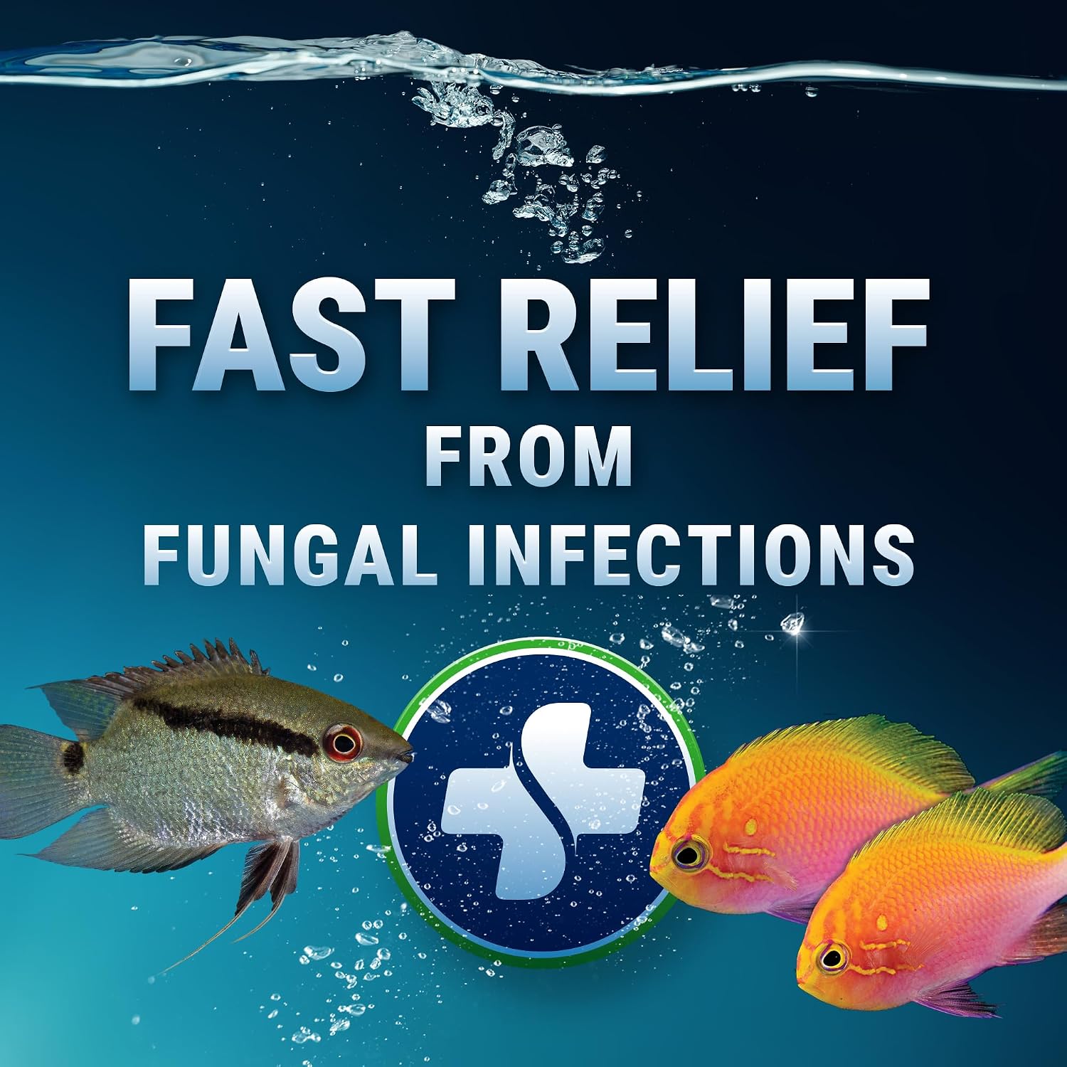 LoveFish - Expel-F - thuốc trị nấm cho cá nước ngọt & mặn