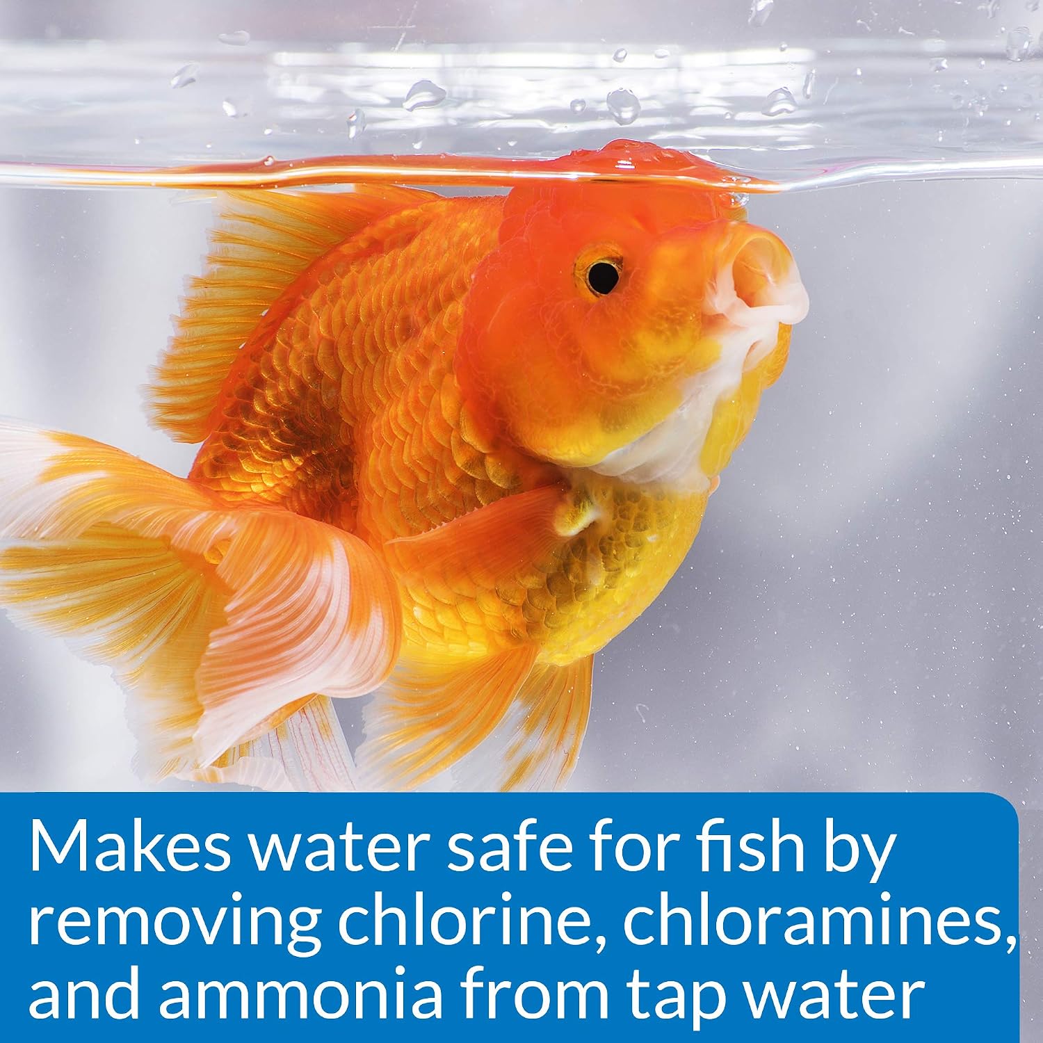 LoveFish - Goldfish Cleaner Protect - Vi sinh dị dưỡng, Ezyme & khử độc clo, cloramin, NH3, kim loại nặng mạnh nhất