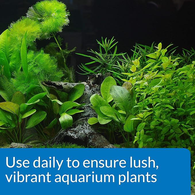 LoveFish - CO2 ooster - CO2 và carbon quang hợp cho bể thủy sinh
