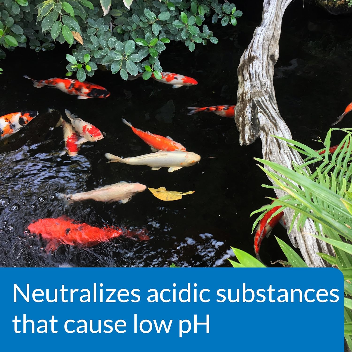 LoveFish - Pond pH Up - Tăng pH và KH cho ao cá và nước biển