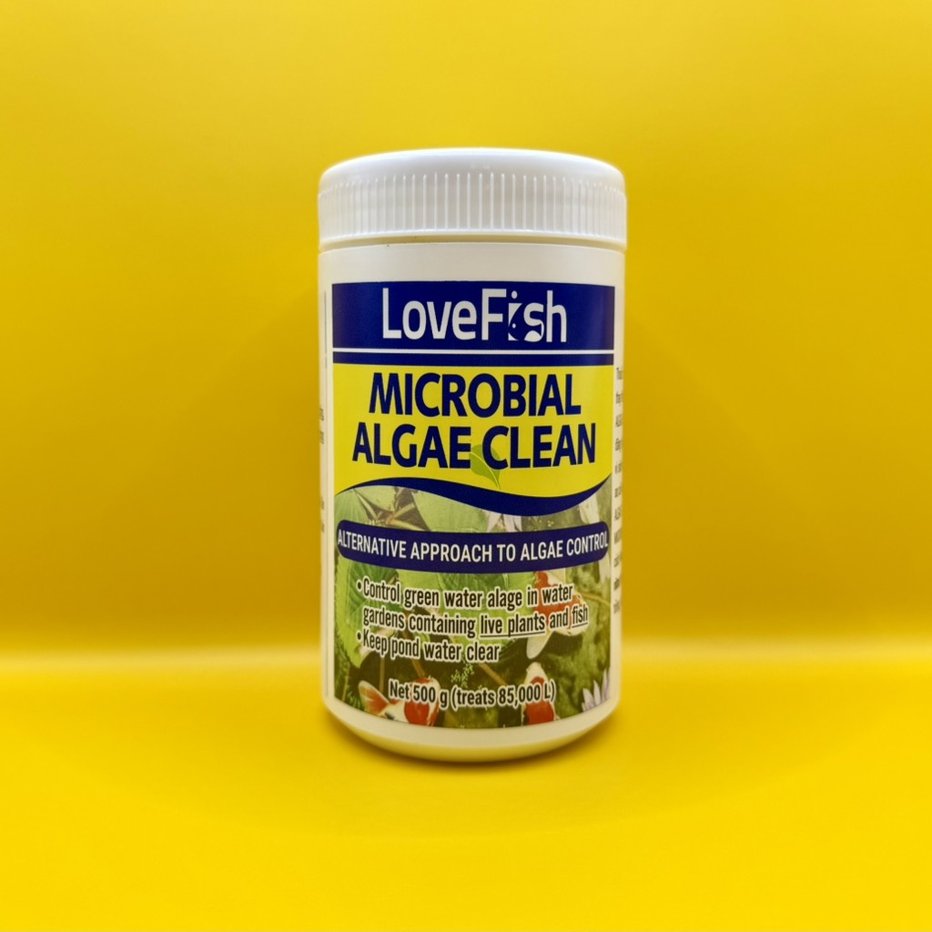 Lovefish - Microbial Algae Clean - Vi sinh kỵ khí tùy nghi diệt tảo, phân hủy hữu cơ và NO3