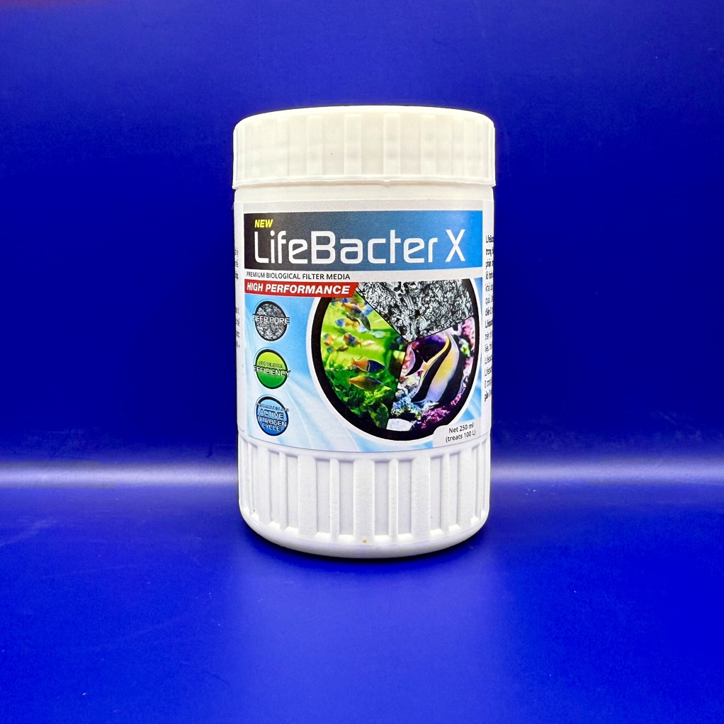 Lifebacter X - Vật liệu lọc sinh học hiệu suất tổng của Lifebacter L+S