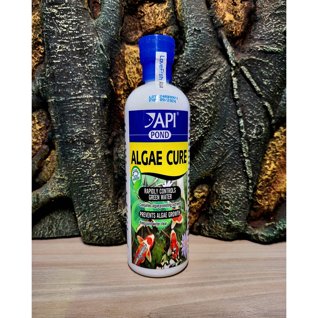API - Algae Cure - Vi sinh ăn tảo Sống và kết tụ mây siêu trong, tiêu hao NO3 & PO4 nước Ngọt & Mặn