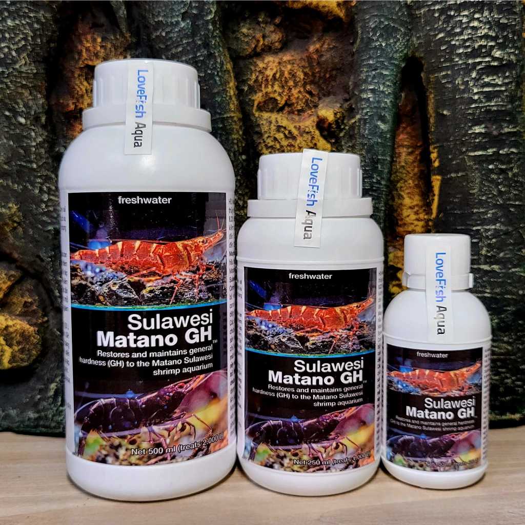 Matano GH - Tăng GH cho bể tép Sula hồ Matano