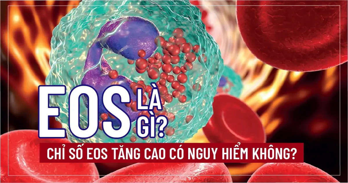 Eos là gì? Chỉ số Eos tăng cao có nguy hiểm không?