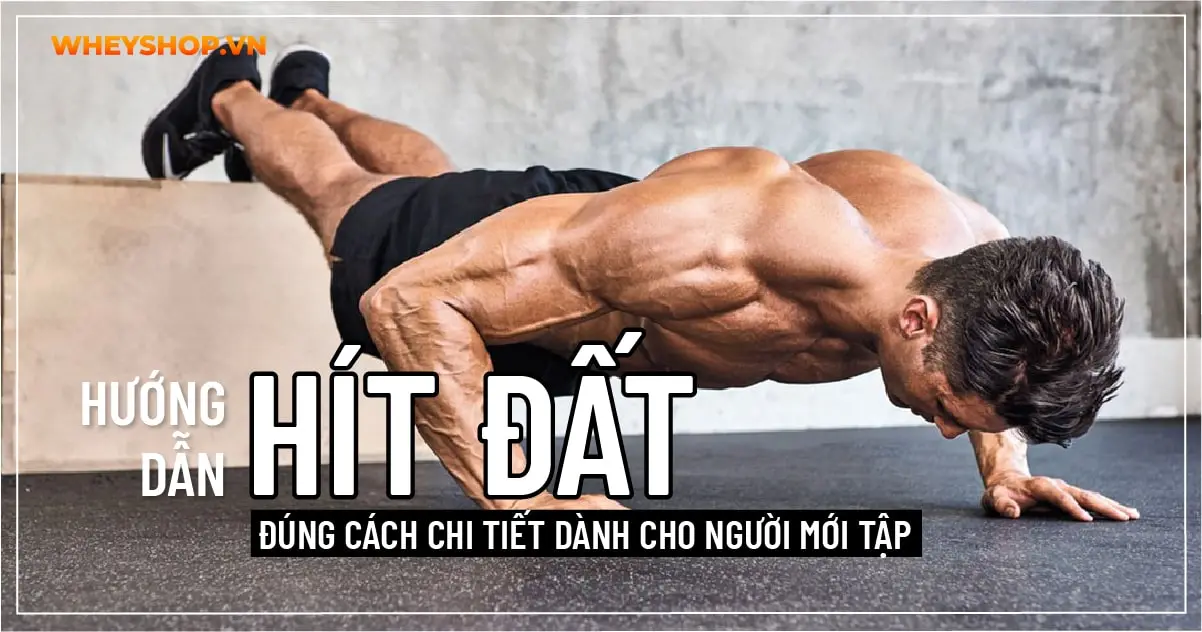 Hướng dẫn Hít Đất đúng cách chi tiết dành cho người mới tập