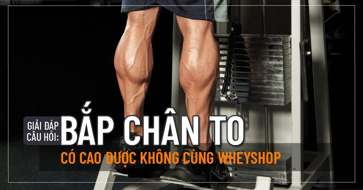 Giải đáp câu hỏi: Bắp chân to có cao được không cùng Wheyshop