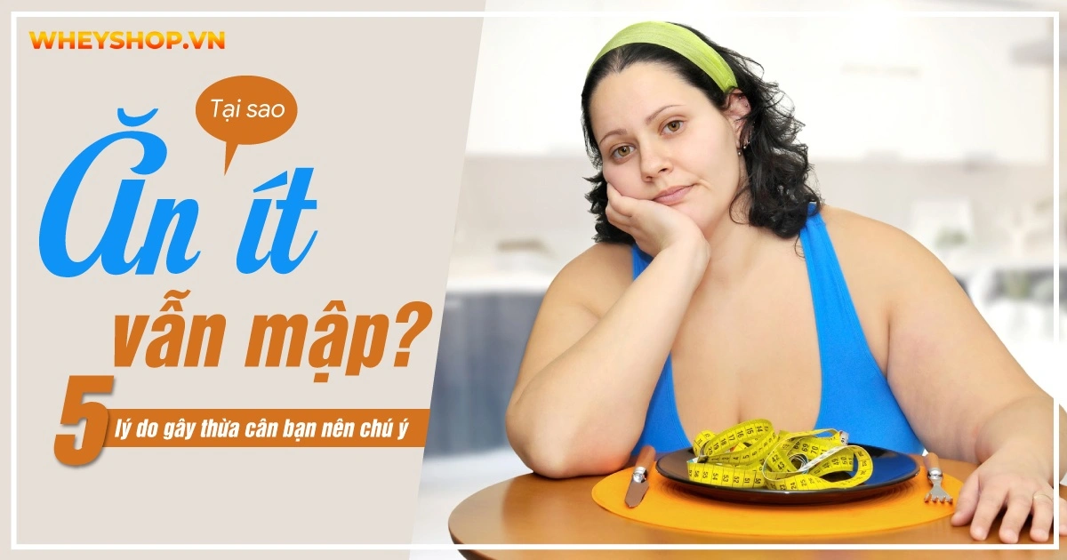 Tại Sao Ăn Ít Vẫn Mập? 5 lý do gây thừa cân bạn nên chú ý