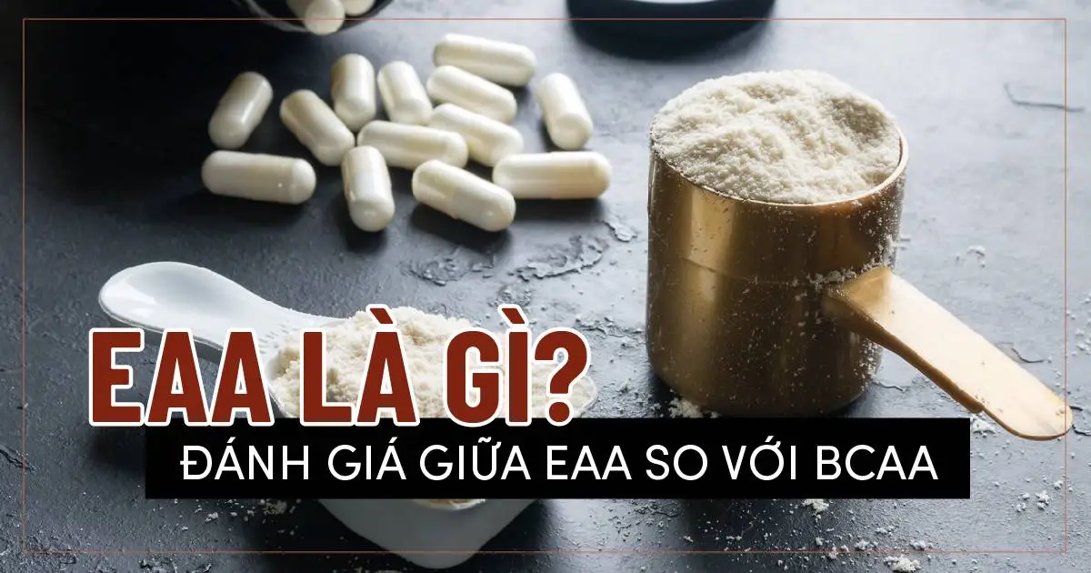 EAA là gì? Đánh giá EAA so với BCAA