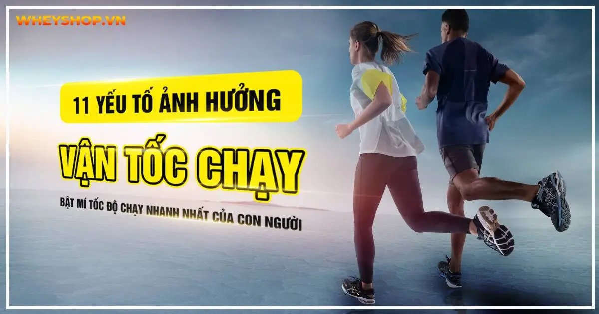 11 yếu tố ảnh hưởng vận tốc chạy là gì? Bật mí tốc độ chạy nhanh nhất của con người
