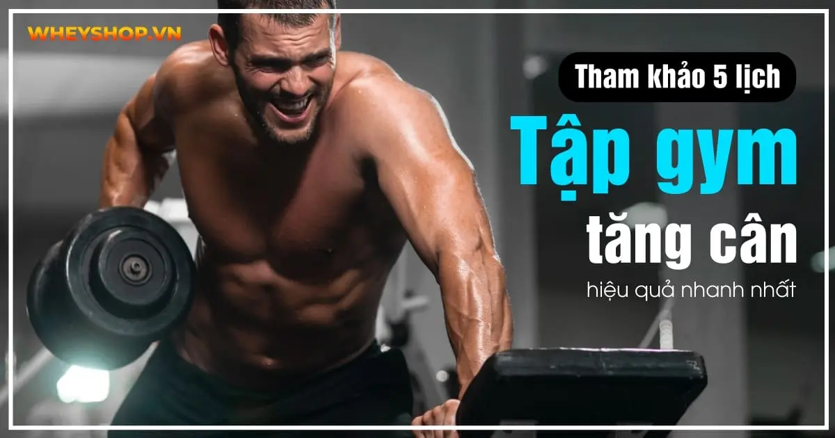 5 lịch tập gym tăng cân hiệu quả nhanh nhất