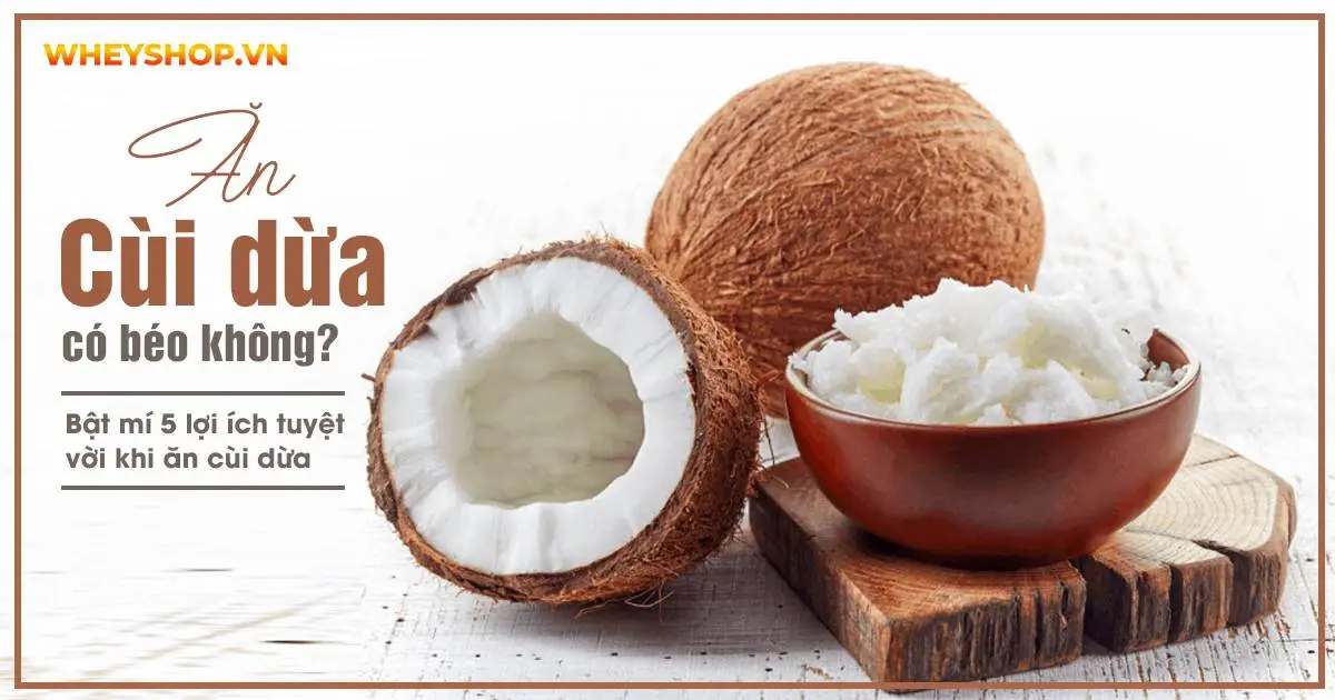 Ăn cùi dừa có béo không? Bật mí 5 lợi ích tuyệt vời khi ăn cùi dừa