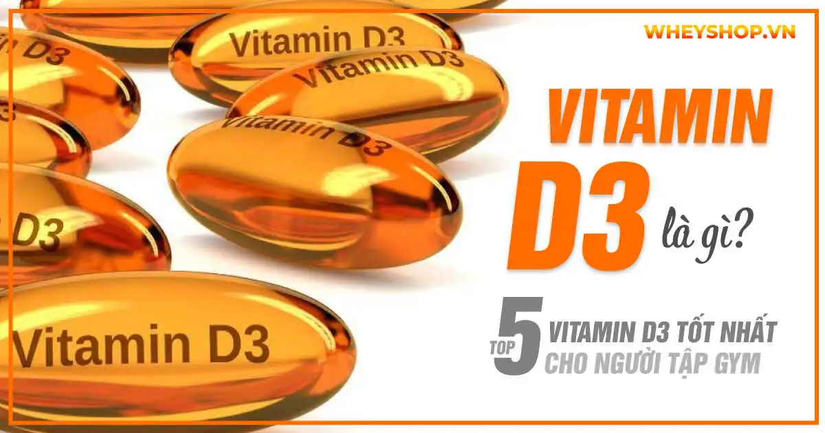 Vitamine D3 là gì? Top 5 Vitamin D3 tốt nhất cho người tập gym