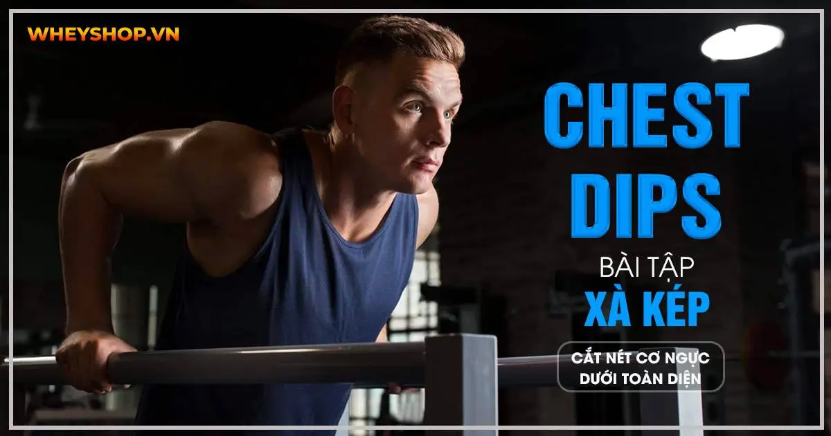 Chest Dips – Bài tập xà kép cắt nét cơ ngực dưới toàn diện
