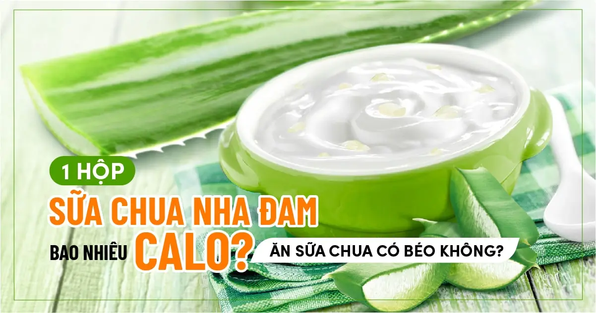 1 hộp sữa chua nha đam bao nhiêu calo? Ăn sữa chua có béo không?