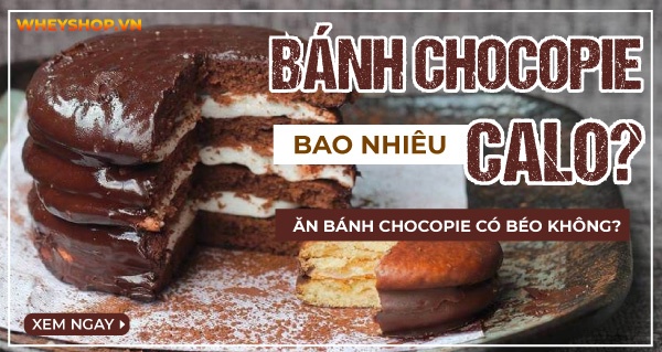 1 cái bánh chocopie bao nhiêu calo? Ăn bánh chocopie có béo không?
