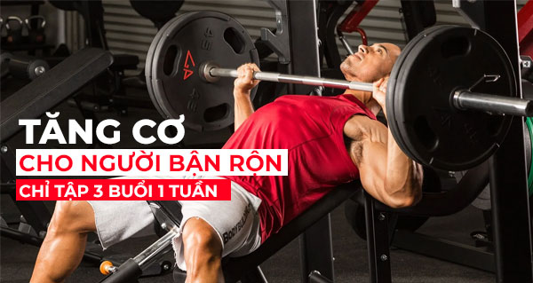 Tăng cơ cho người bận rộn chỉ tập 3 buổi 1 tuần: cách làm “đủ” để cơ vẫn lên