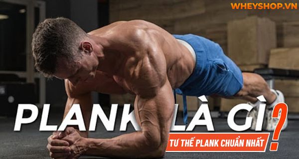 Plank là gì? Hướng dẫn tư thế Plank đúng cách chuẩn nhất