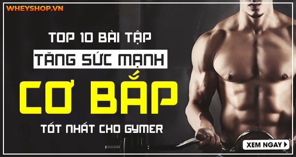 Top 10 bài tập tăng sức mạnh cơ bắp tốt nhất cho gymer
