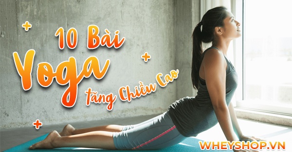 10 bài tập Yoga tăng chiều cao tốt nhất mọi thời đại