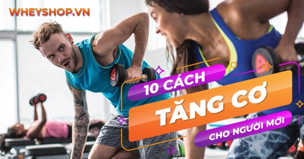 10 cách tăng cơ hiệu quả dành cho người mới tập gym
