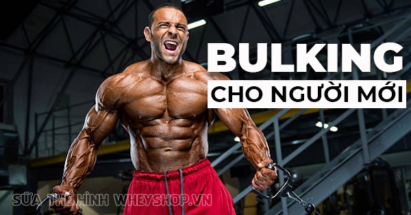 10 lời khuyên bulking (xả cơ) dành cho người mới từ các chuyên gia