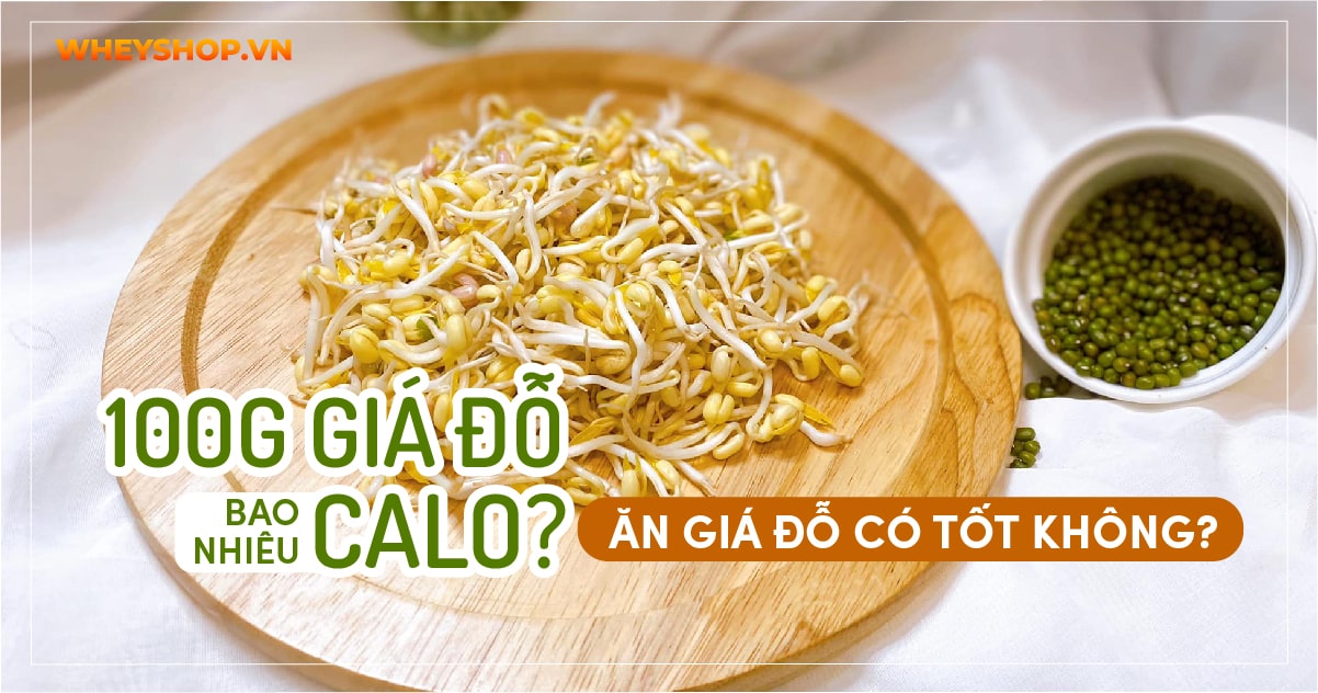 100g giá đỗ bao nhiêu calo? Ăn giá đỗ có tốt không?