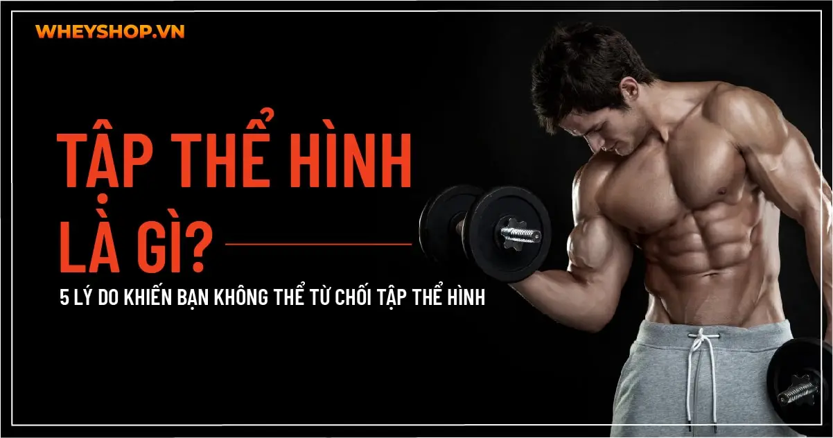 Tập thể hình là gì? 5 lý do khiến bạn không thể từ chối tập thể hình