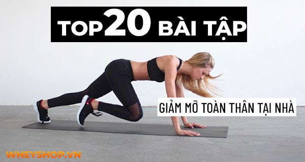 Top 20 bài tập giảm mỡ toàn thân tại nhà dành cho mọi đối tượng
